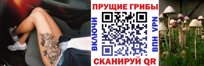 Галлюциногенные грибы Psilocybine cubensis  Любим 